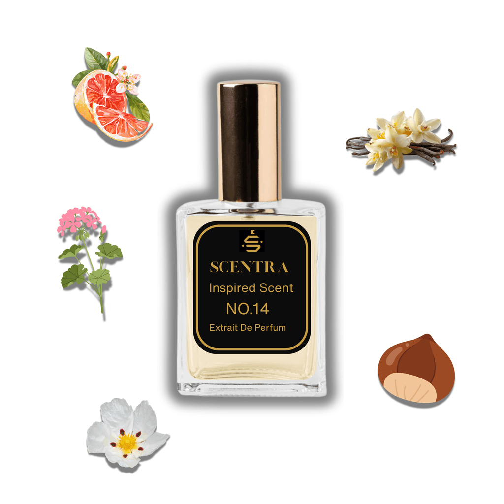 Scentra No.14 perfume inspired by Armani Stronger With You Only surrounded by illustrated scent notes of a sliced grapefruit, chestnut, and vanilla orchids.
