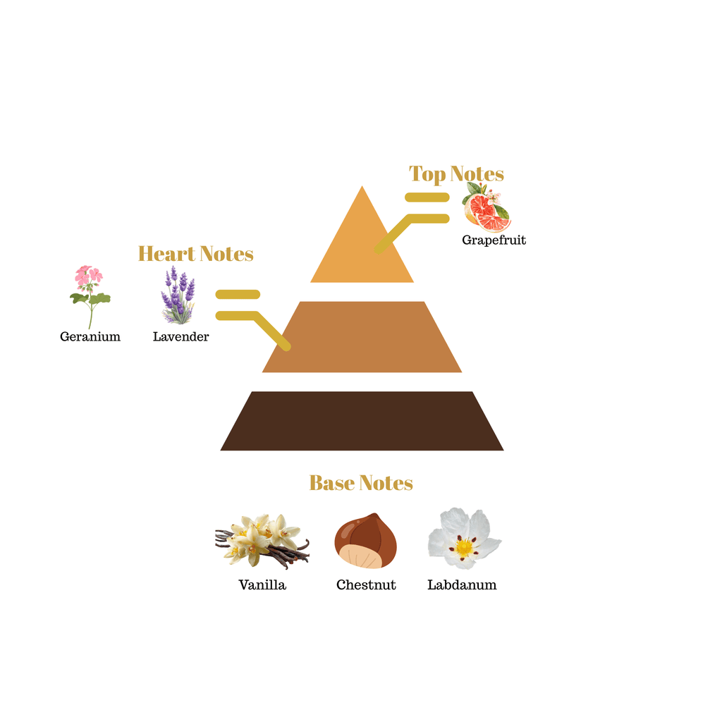 Fragrance pyramid chart for Scentra No.14 showcasing a grapefruit top note, a lavender heart, and a vanilla chestnut base.