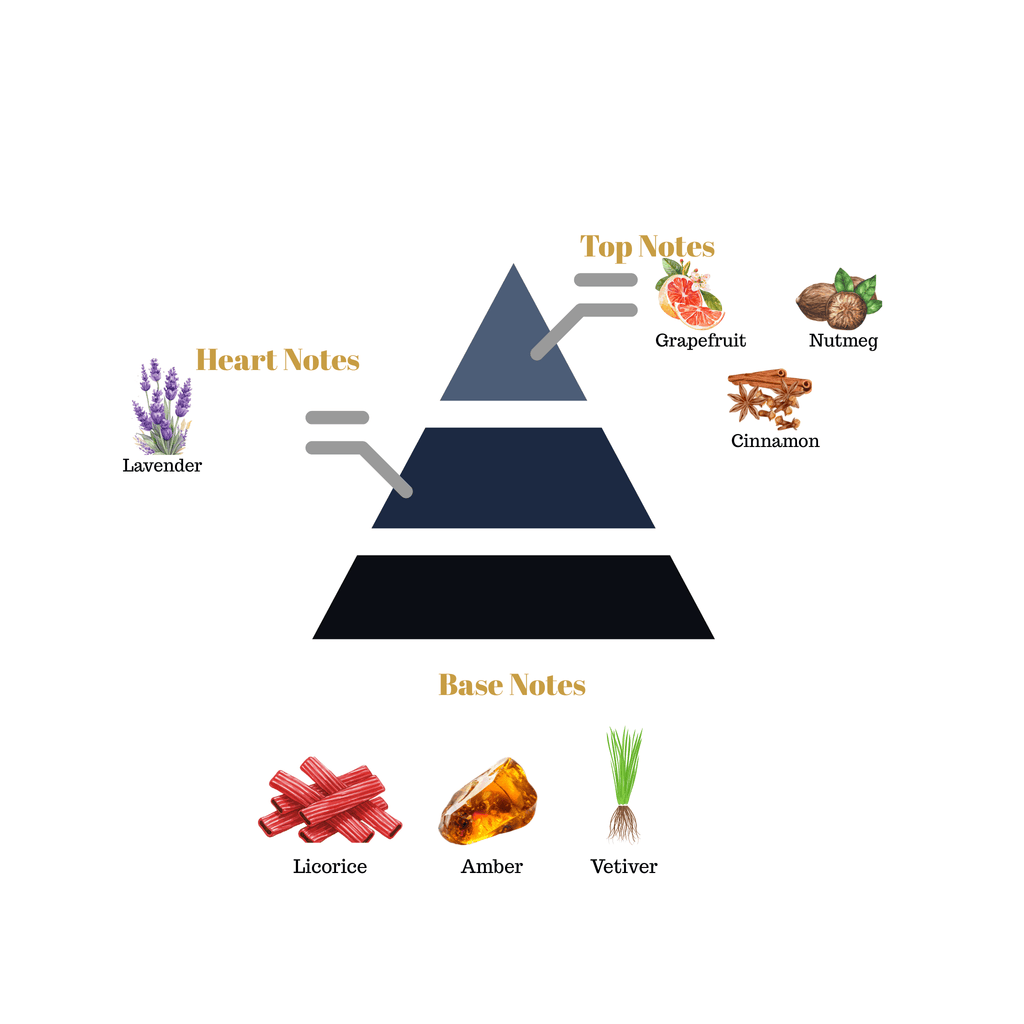 Fragrance pyramid chart for Scentra No.15 showcasing a grapefruit nutmeg cinnamon top, a lavender heart, and a licorice amber vetiver base.