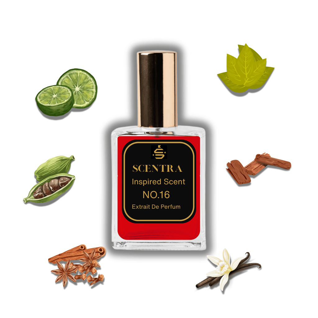 Scentra No.16 perfume inspired by Cristiano Ronaldo CR7 surrounded by illustrated scent notes of green bergamot slices, cardamom pods, and a tobacco leaf.