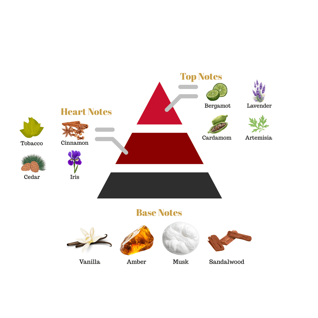 Fragrance pyramid chart for Scentra No.16 breaking down top notes of lavender and bergamot, a spicy tobacco iris heart, and a sandalwood vanilla base.