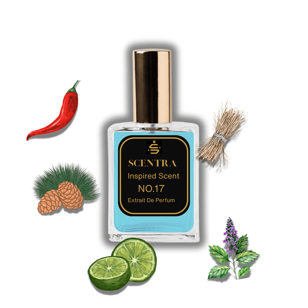 Scentra No.17 perfume inspired by Dior Sauvage surrounded by illustrated scent notes of a red pepper pod, green bergamot slices, and cedar pinecones.