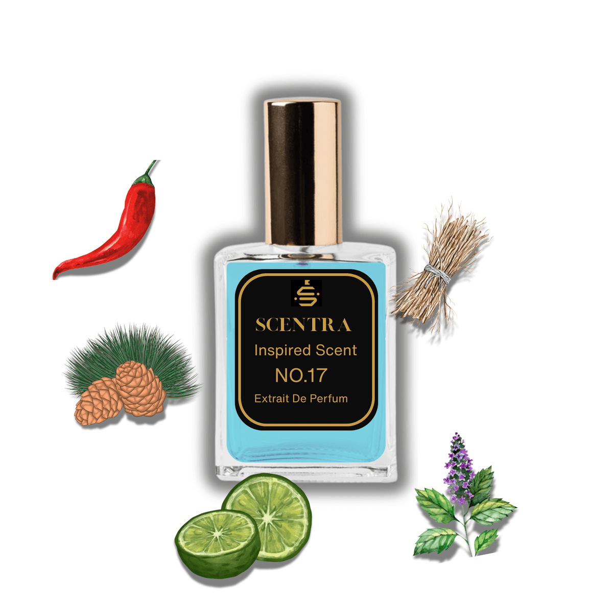 Scentra No.17 perfume inspired by Dior Sauvage surrounded by illustrated scent notes of a red pepper pod, green bergamot slices, and cedar pinecones.