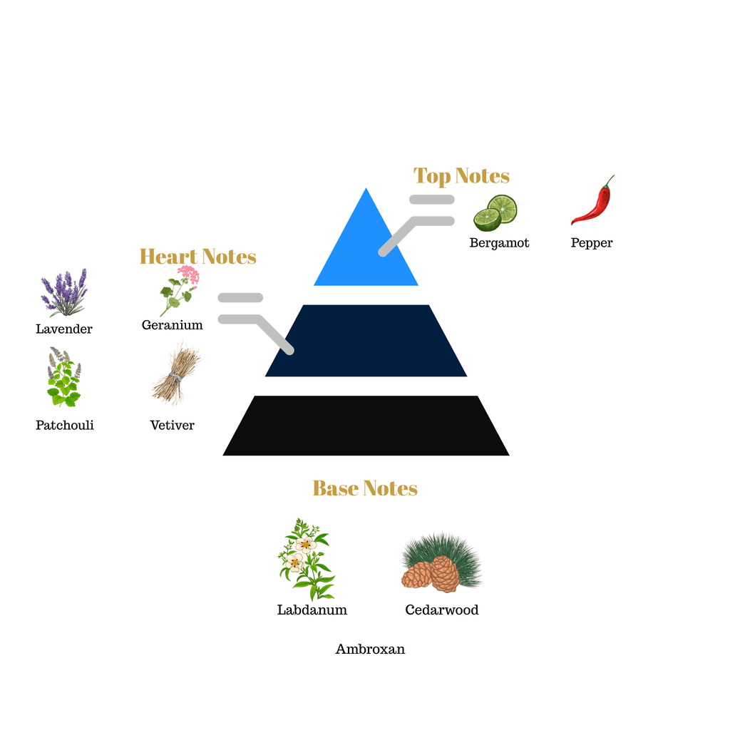 Fragrance pyramid chart for Scentra No.17 showcasing bergamot pepper top notes, a lavender vetiver patchouli heart, and a cedarwood labdanum base.