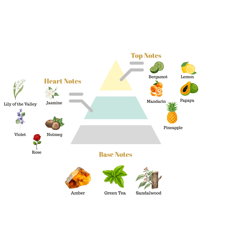 Fragrance pyramid chart for Scentra No.18 highlighting fruit top notes, a rich floral jasmine rose heart, and a green tea amber base.