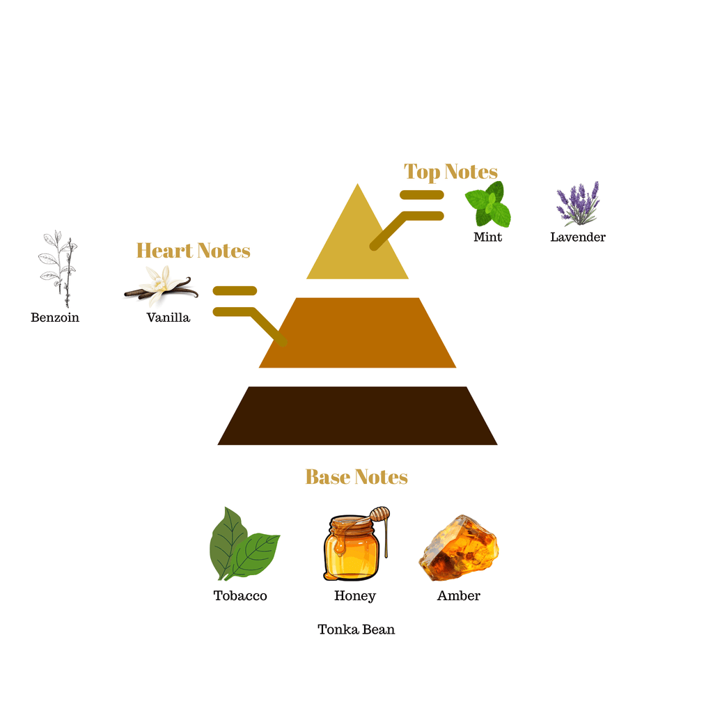 Fragrance pyramid chart for Scentra No.19 detailing top mint lavender notes, a benzoin vanilla heart, and a honey tobacco amber base.