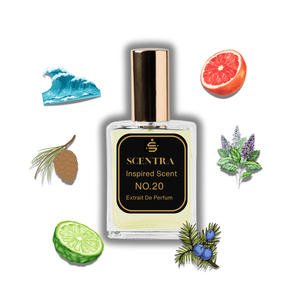 Scentra No.20 perfume inspired by Dolce & Gabbana Light Blue Pour Homme surrounded by illustrated scent notes of a ruby grapefruit, juniper berries, and an ocean wave.