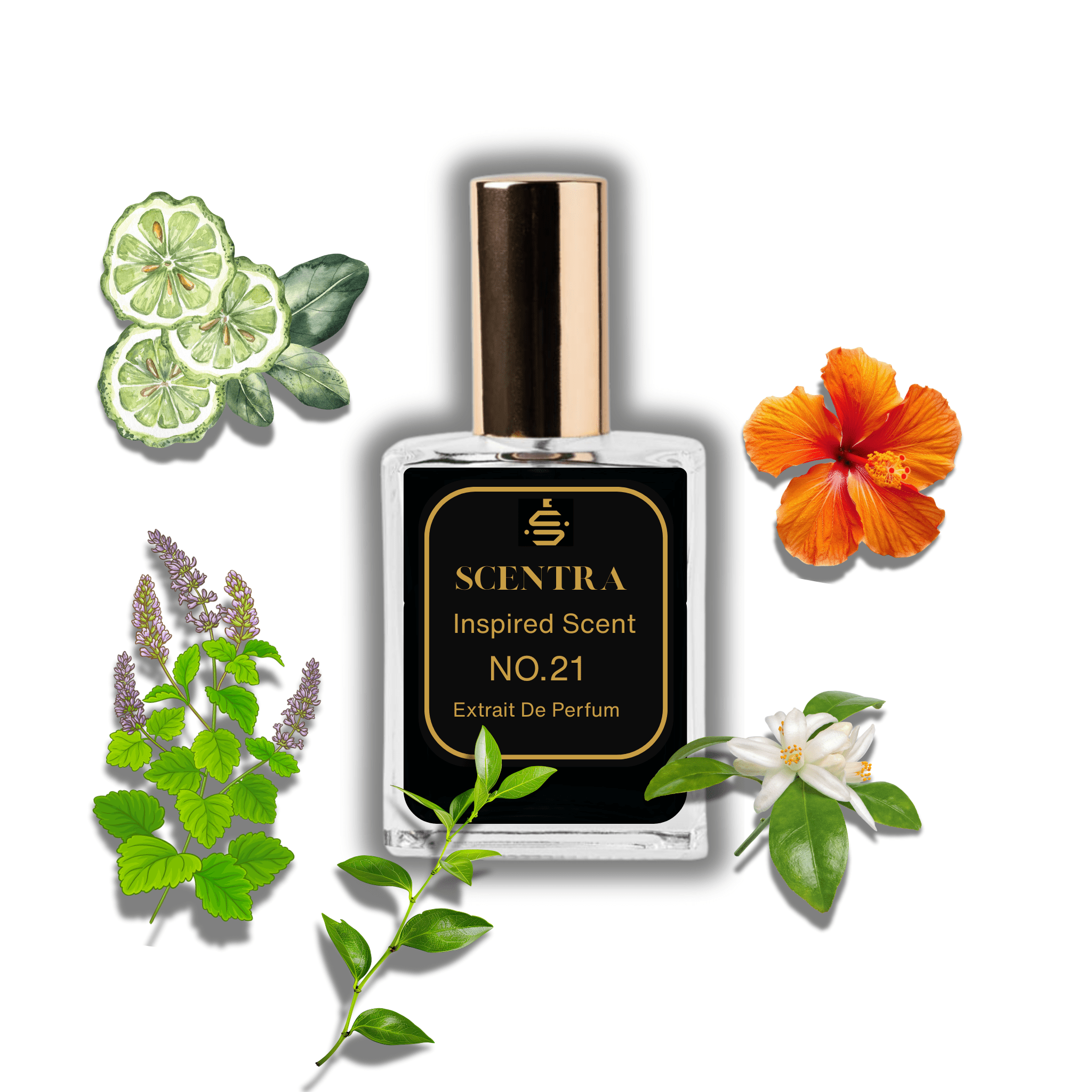 Scentra No.21 perfume inspired by Yves Saint Laurent MYSLF surrounded by illustrated scent notes of fresh bergamot, orange blossom, and neroli.