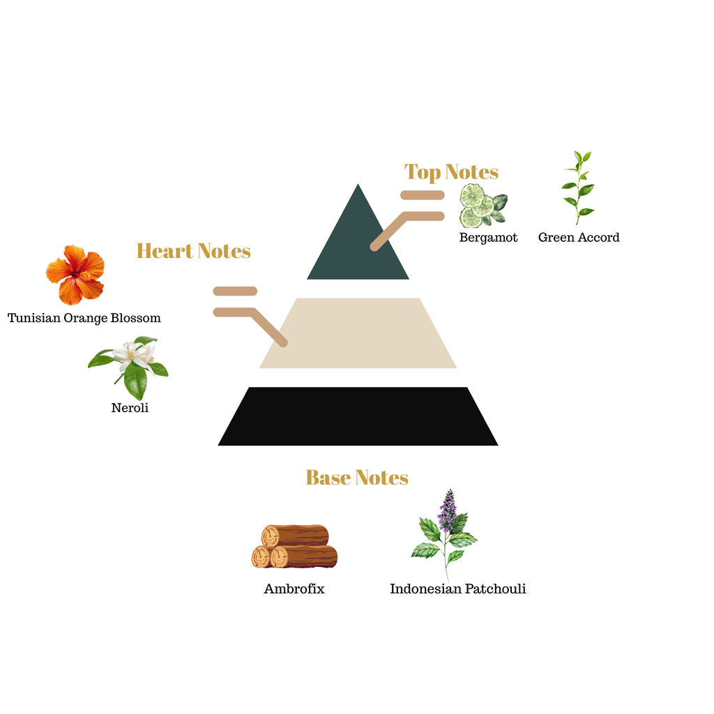 Fragrance pyramid chart for Scentra No.21 showcasing a bergamot top note, orange blossom heart notes, and an ambrofix patchouli base.