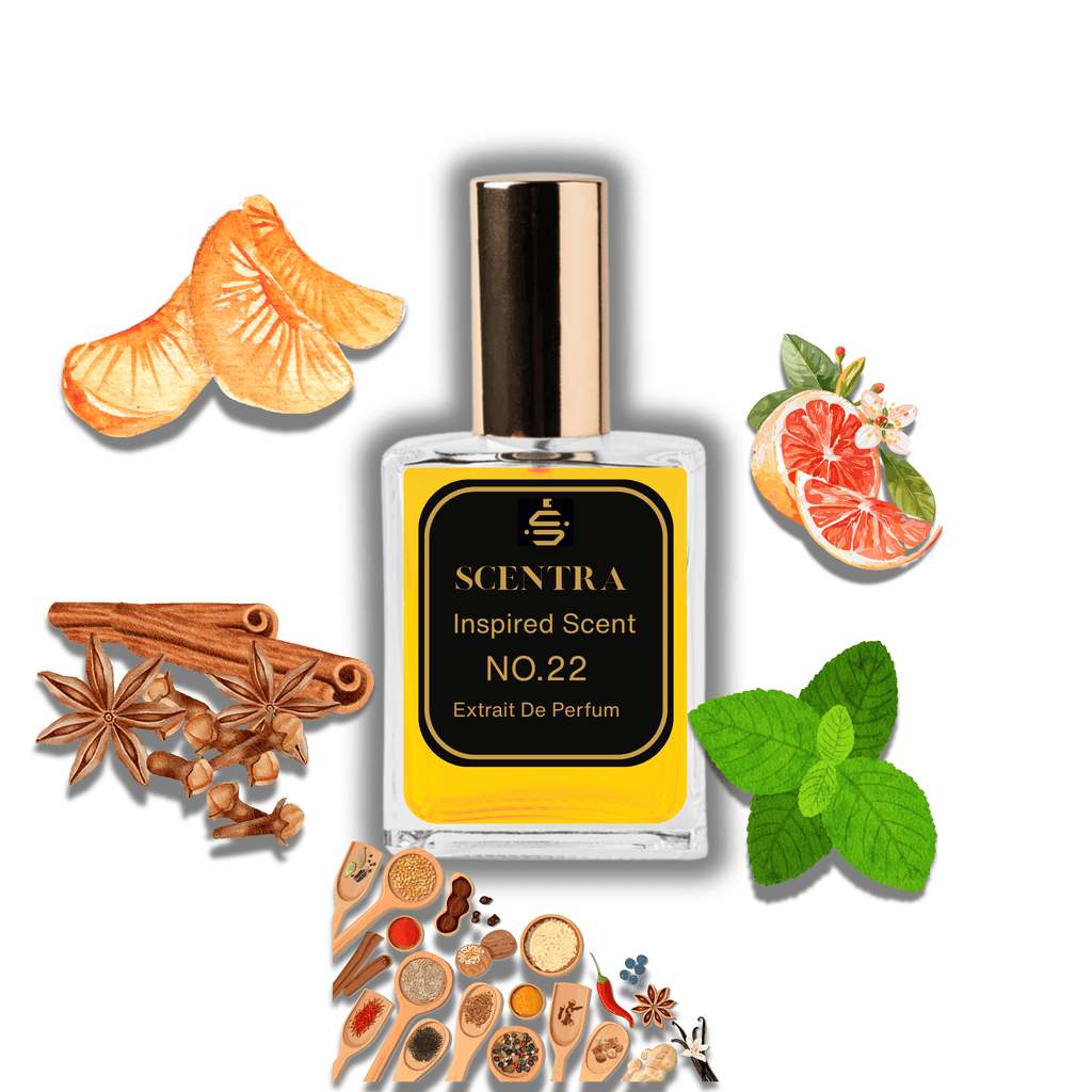 Scentra No.22 perfume inspired by Paco Rabanne 1 Million surrounded by illustrated scent notes of mandarin orange segments, fresh mint leaves, and cinnamon sticks.