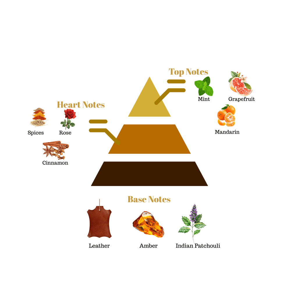 Fragrance pyramid chart for Scentra No.22 detailing top notes of grapefruit and mint, a spicy cinnamon rose heart, and a leather amber base.