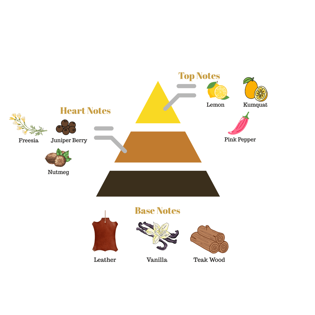 Fragrance pyramid chart for Scentra No.23 highlighting top lemon kumquat notes, a coriander juniper heart, and a leather teak wood base.