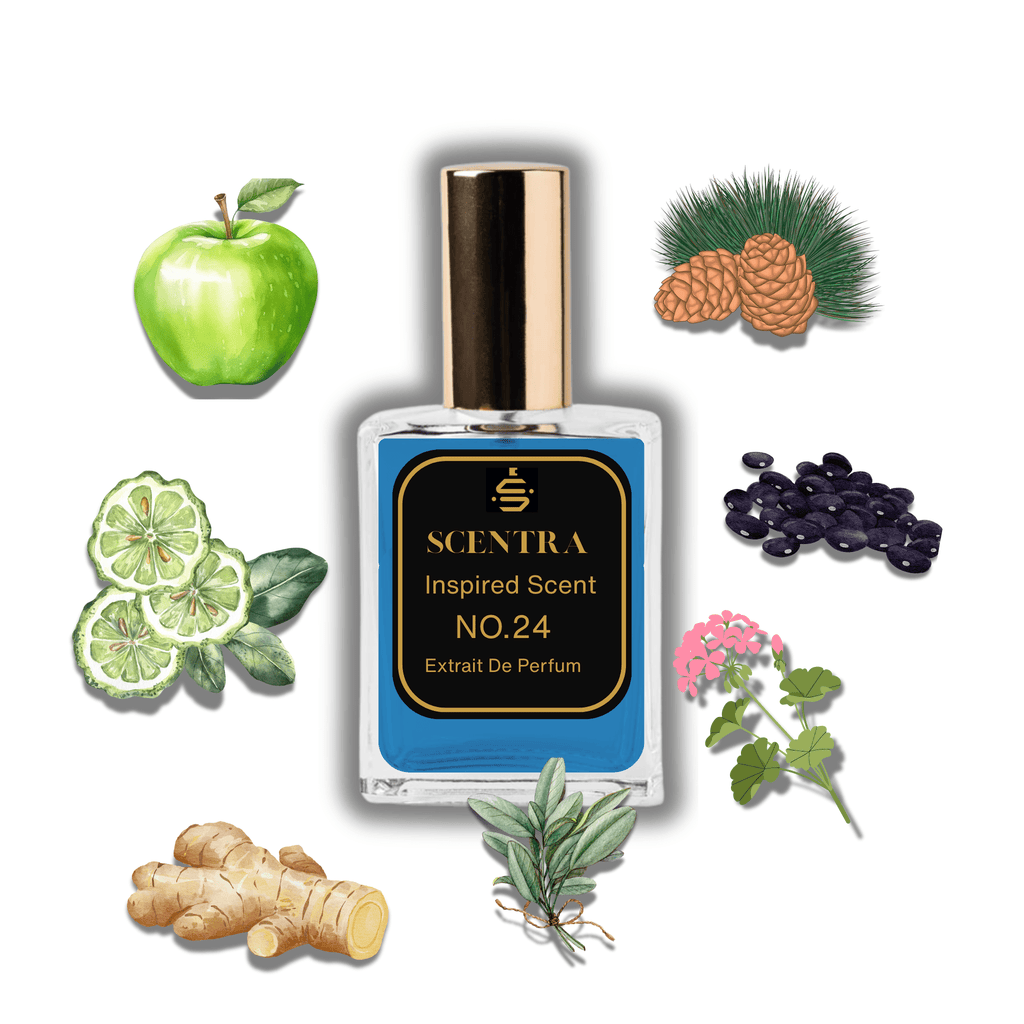Scentra No.24 perfume inspired by Yves Saint Laurent Y surrounded by illustrated scent notes of a green apple, fresh ginger root, and sage leaves.
