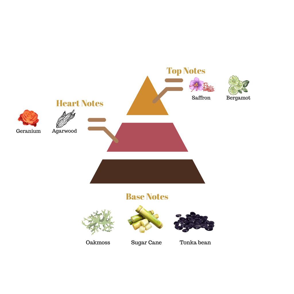 Fragrance pyramid chart for Scentra No.25 showing top saffron and bergamot notes, an agarwood heart, and a sweet sugarcane tonka bean base.