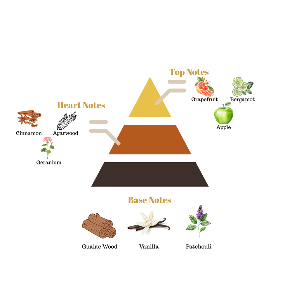Fragrance pyramid chart for Scentra No.26 highlighting top notes of grapefruit and apple, a cinnamon agarwood heart, and a guaiac wood vanilla base.
