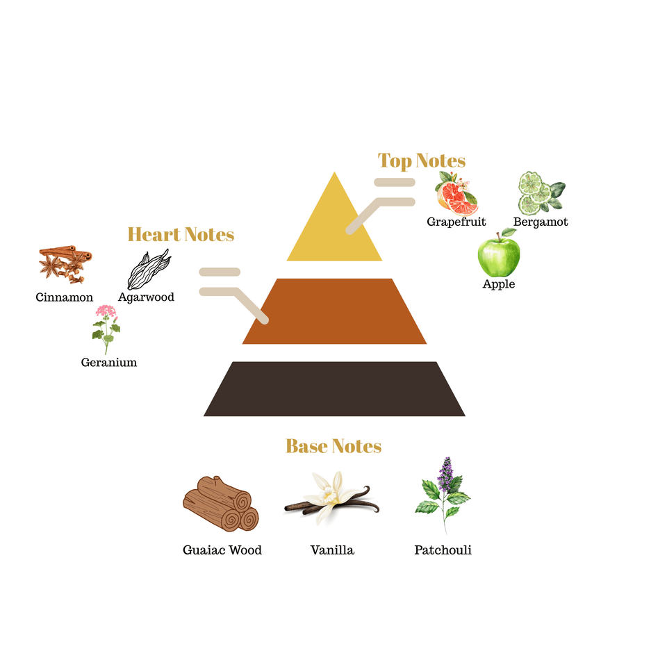 Fragrance pyramid chart for Scentra No.26 highlighting top notes of grapefruit and apple, a cinnamon agarwood heart, and a guaiac wood vanilla base.