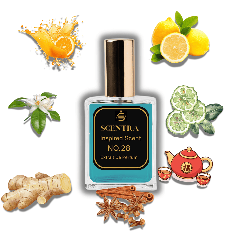 Scentra No.28 perfume inspired by Louis Vuitton Imagination surrounded by illustrated scent notes of ginger root, fresh bergamot, and a red Chinese teapot.
