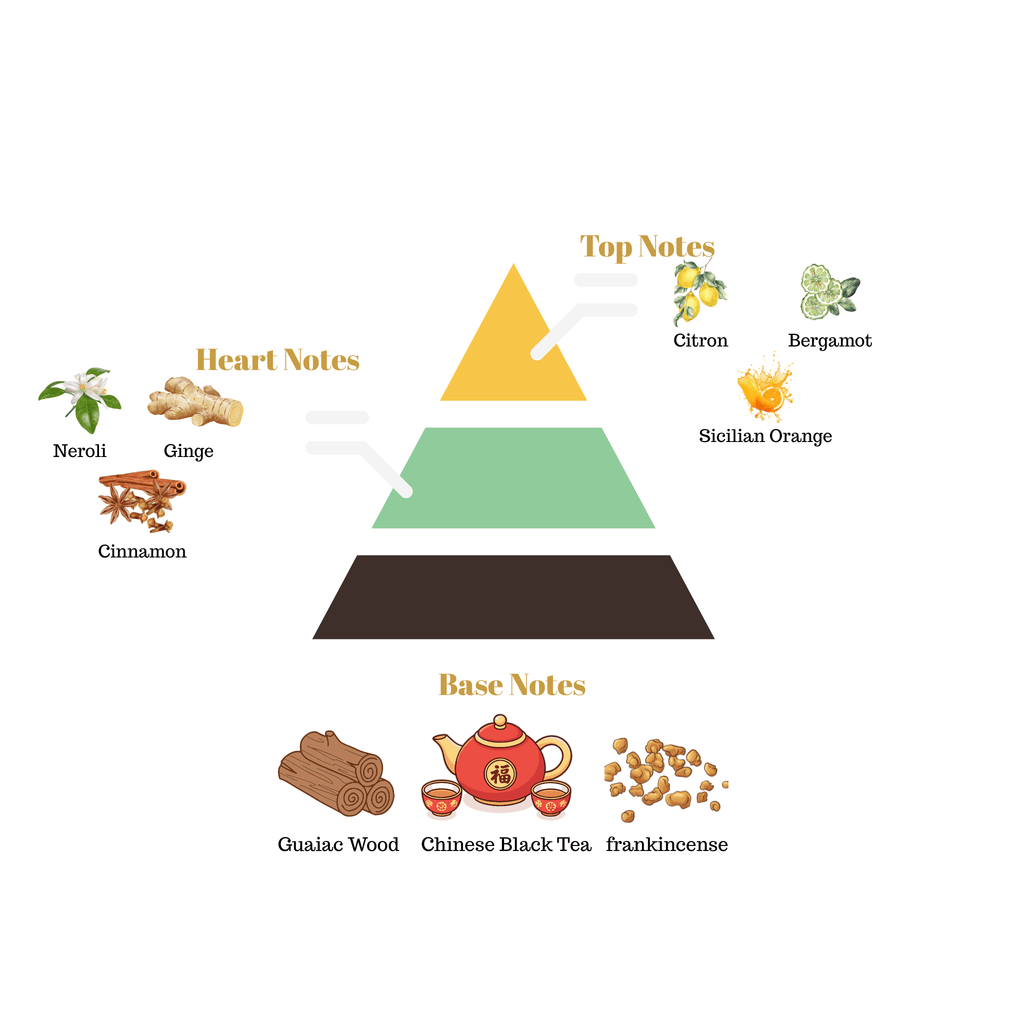 Fragrance pyramid chart for Scentra No.28 highlighting citron top notes, a spicy ginger cinnamon heart, and a Chinese black tea guaiac wood base.