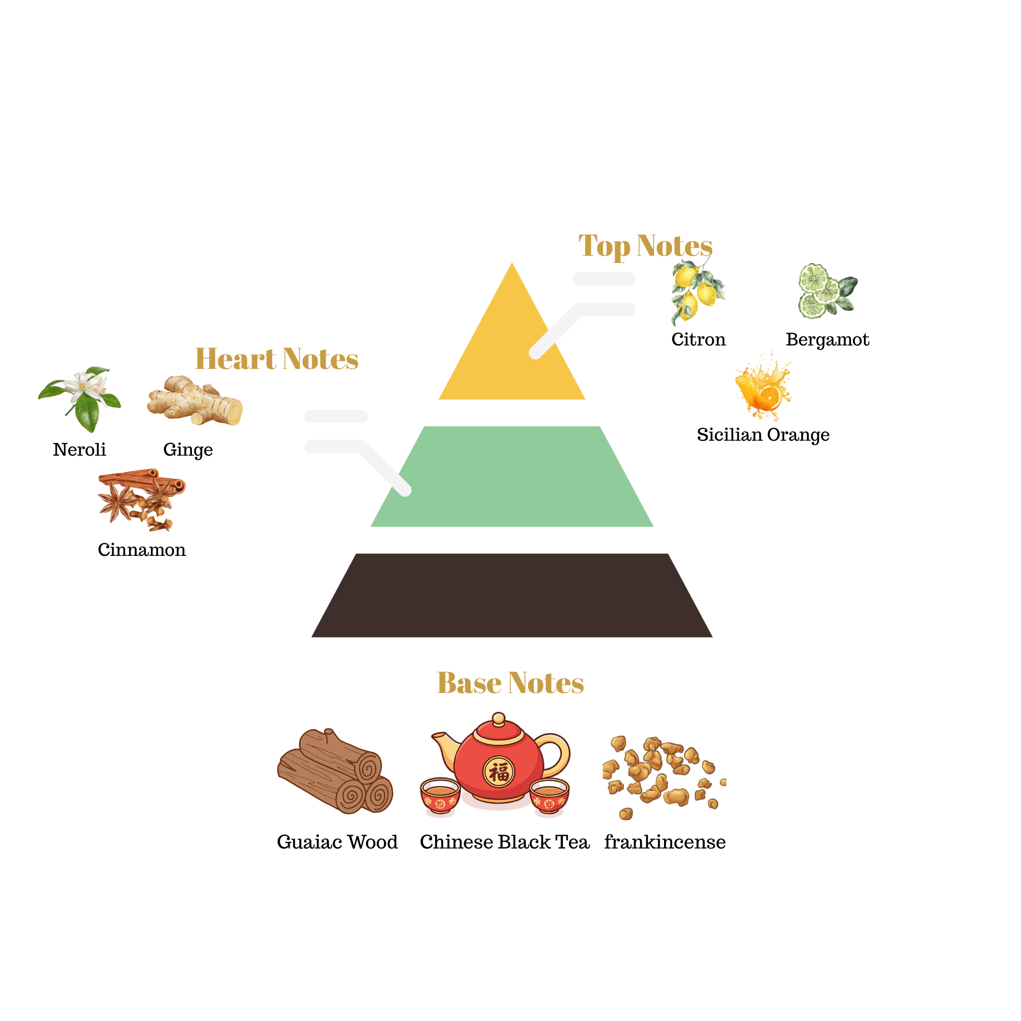 Fragrance pyramid chart for Scentra No.28 highlighting citron top notes, a spicy ginger cinnamon heart, and a Chinese black tea guaiac wood base.