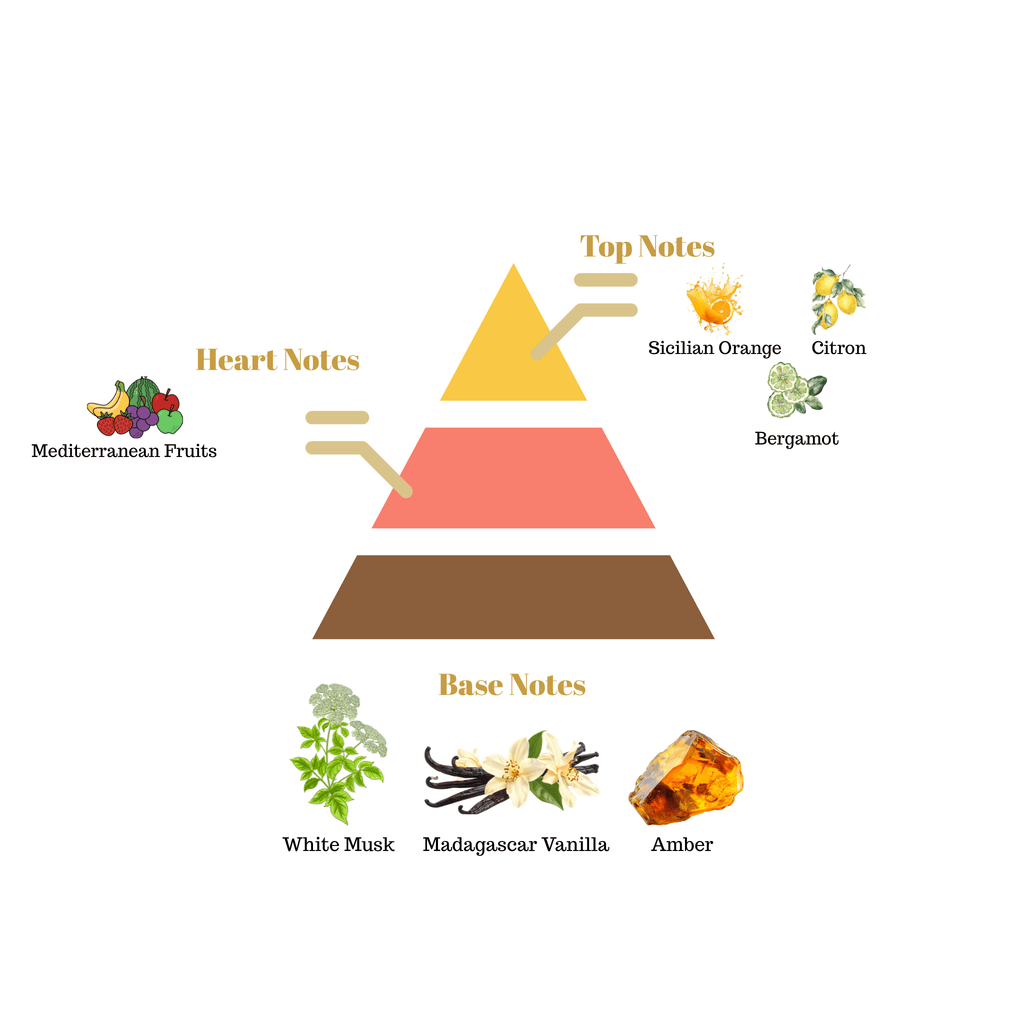 Fragrance pyramid chart for Scentra No.29 showcasing top citrus notes, a sweet Mediterranean fruit heart, and a Madagascar vanilla amber base.
