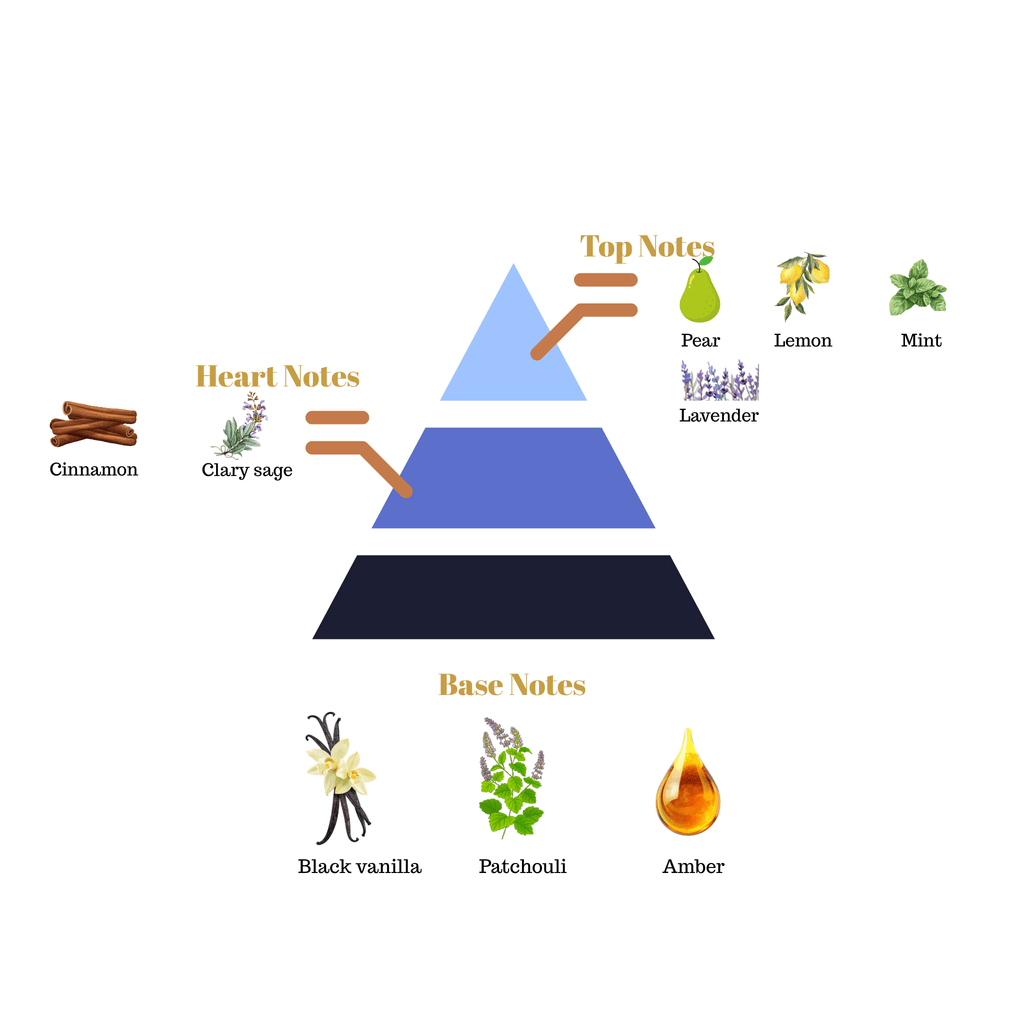 Fragrance pyramid chart for Scentra No.3 showcasing a pear lemon mint lavender top, a cinnamon clary sage heart, and a black vanilla patchouli amber base.
