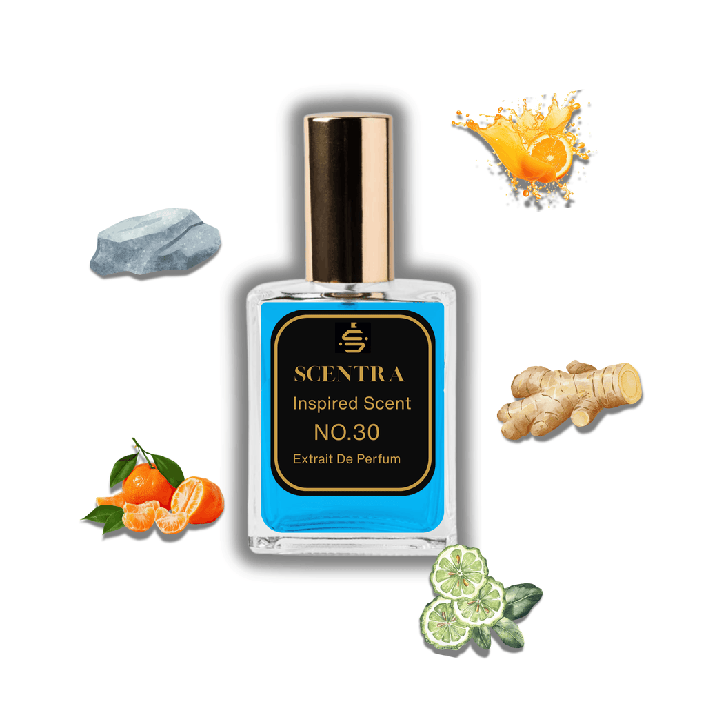 Scentra No.30 perfume inspired by Louis Vuitton Afternoon Swim surrounded by illustrated scent notes of mandarin oranges, fresh ginger root, and ambergris.