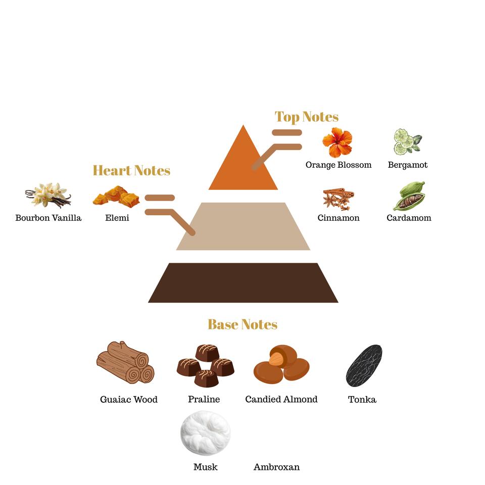 Fragrance pyramid chart for Scentra No.31 showcasing an orange blossom bergamot cinnamon cardamom top, a vanilla elemi heart, and a praline wood base.