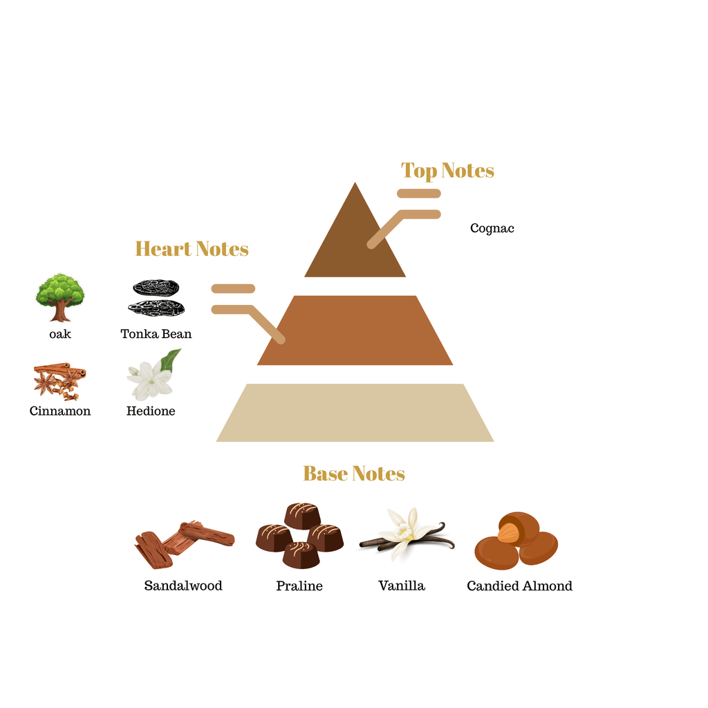 Fragrance pyramid chart for Scentra No.32 showing a top cognac note, a warm cinnamon and tonka bean heart, and a sweet praline vanilla base.