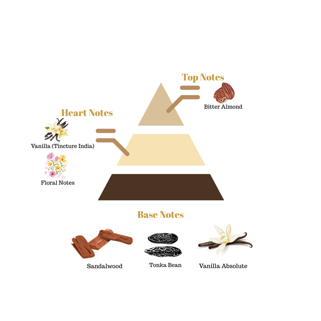 Fragrance pyramid chart for Scentra No.33 displaying a top bitter almond note, floral heart notes, and a sweet vanilla absolute base.