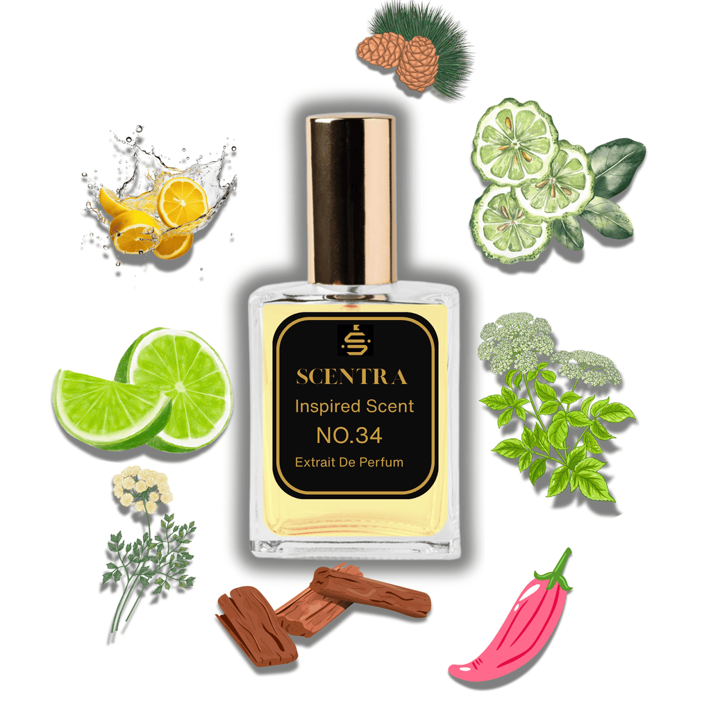 Scentra No.34 perfume bottle surrounded by illustrated scent notes of sliced lemons, fresh limes, and rich wood blocks.