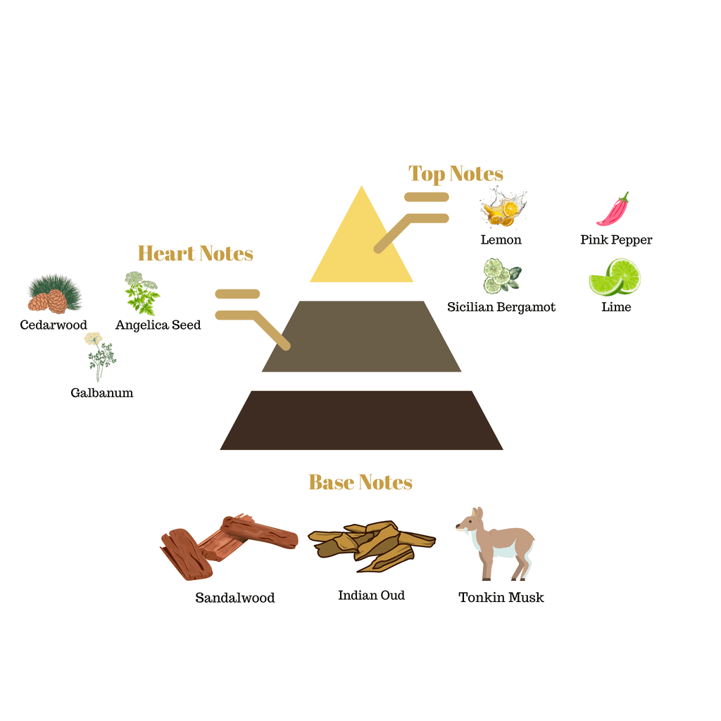 Fragrance pyramid chart for Scentra No.34 detailing citrus top notes, a cedarwood heart, and an indian oud sandalwood base.