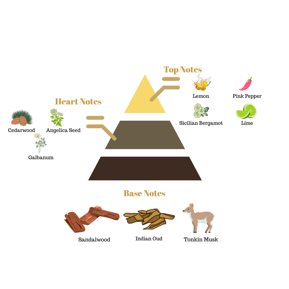 Fragrance pyramid chart for Scentra No.34 detailing citrus top notes, a cedarwood heart, and an indian oud sandalwood base.