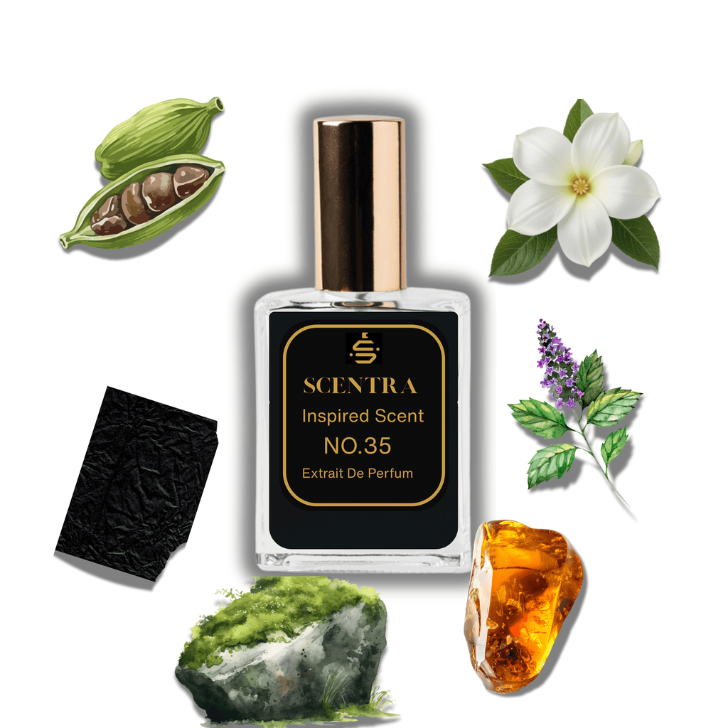 Scentra No.35 perfume bottle surrounded by illustrated scent notes of black leather, green cardamom pods, and white jasmine flowers.