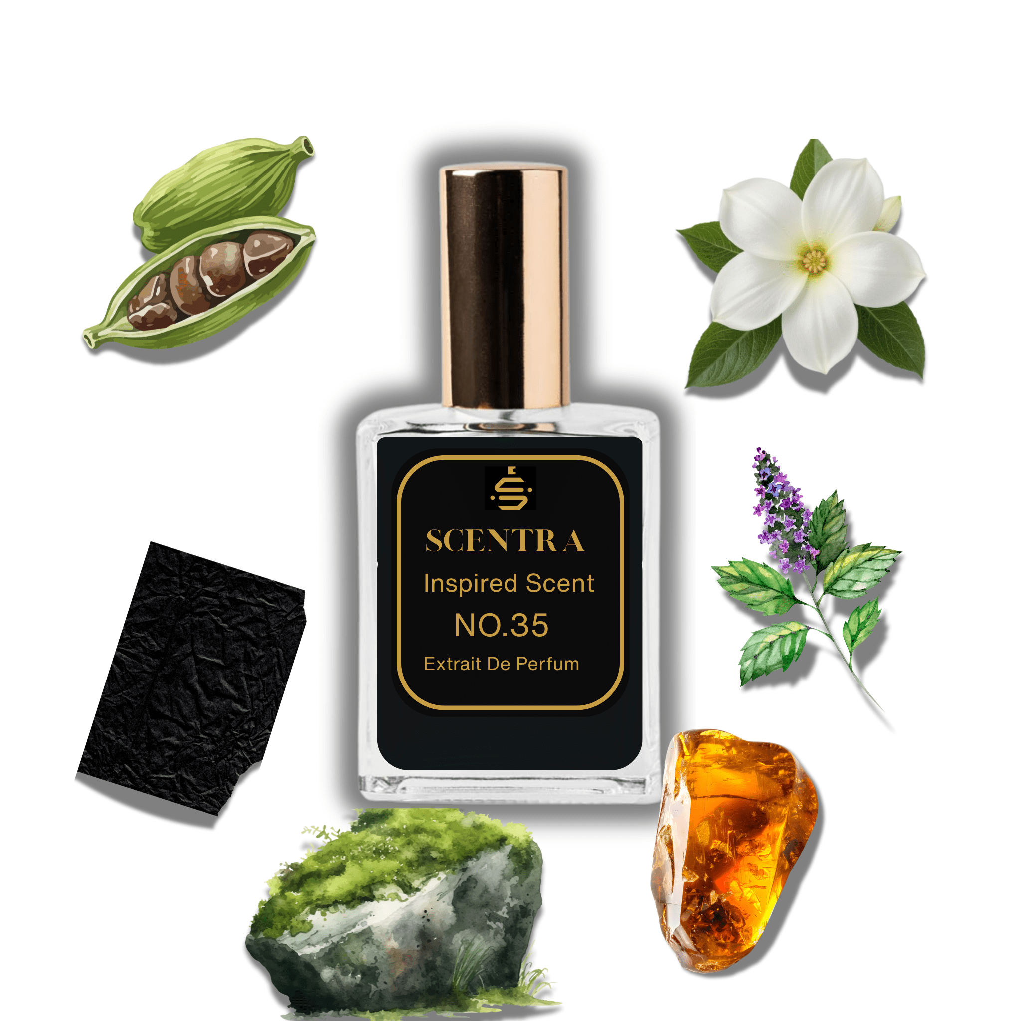 Scentra No.35 perfume bottle surrounded by illustrated scent notes of black leather, green cardamom pods, and white jasmine flowers.