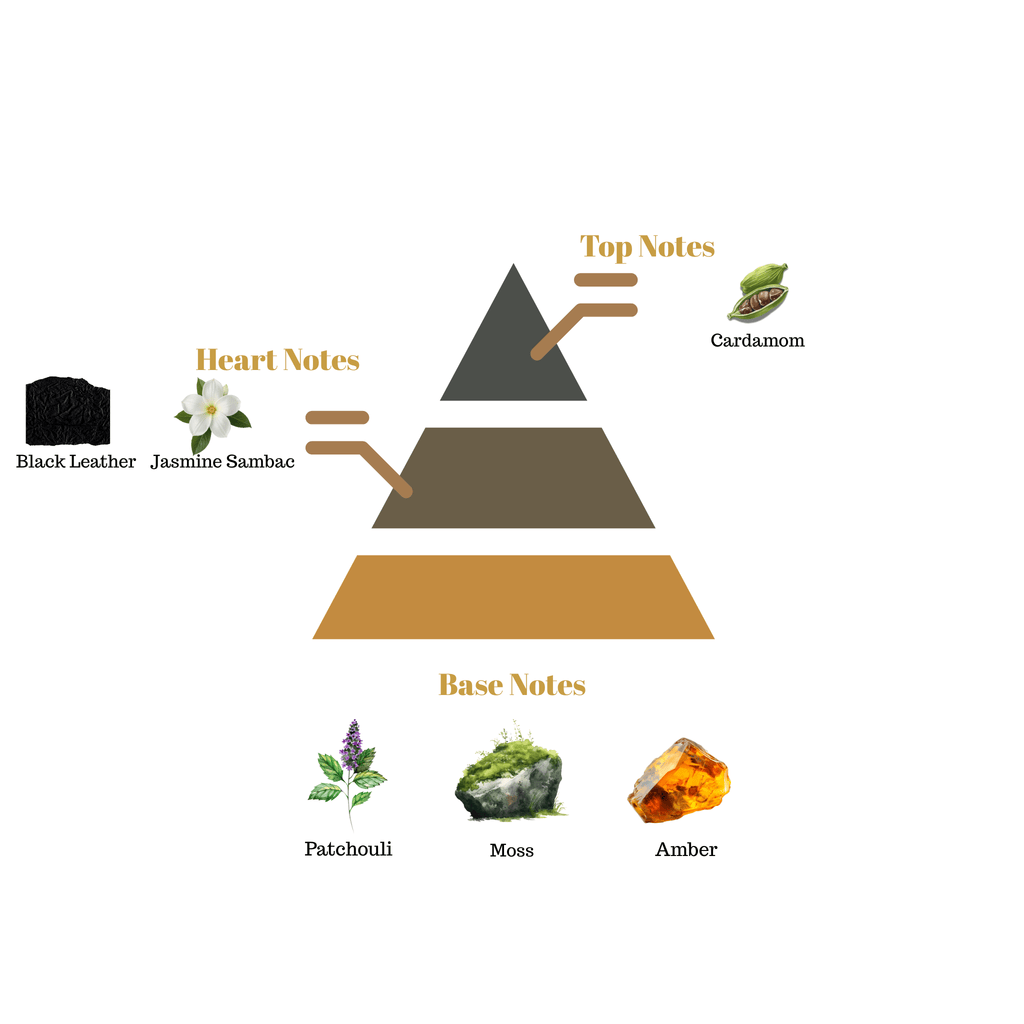 Fragrance pyramid chart for Scentra No.35 showcasing top cardamom notes, a leather and jasmine heart, and an amber patchouli base.