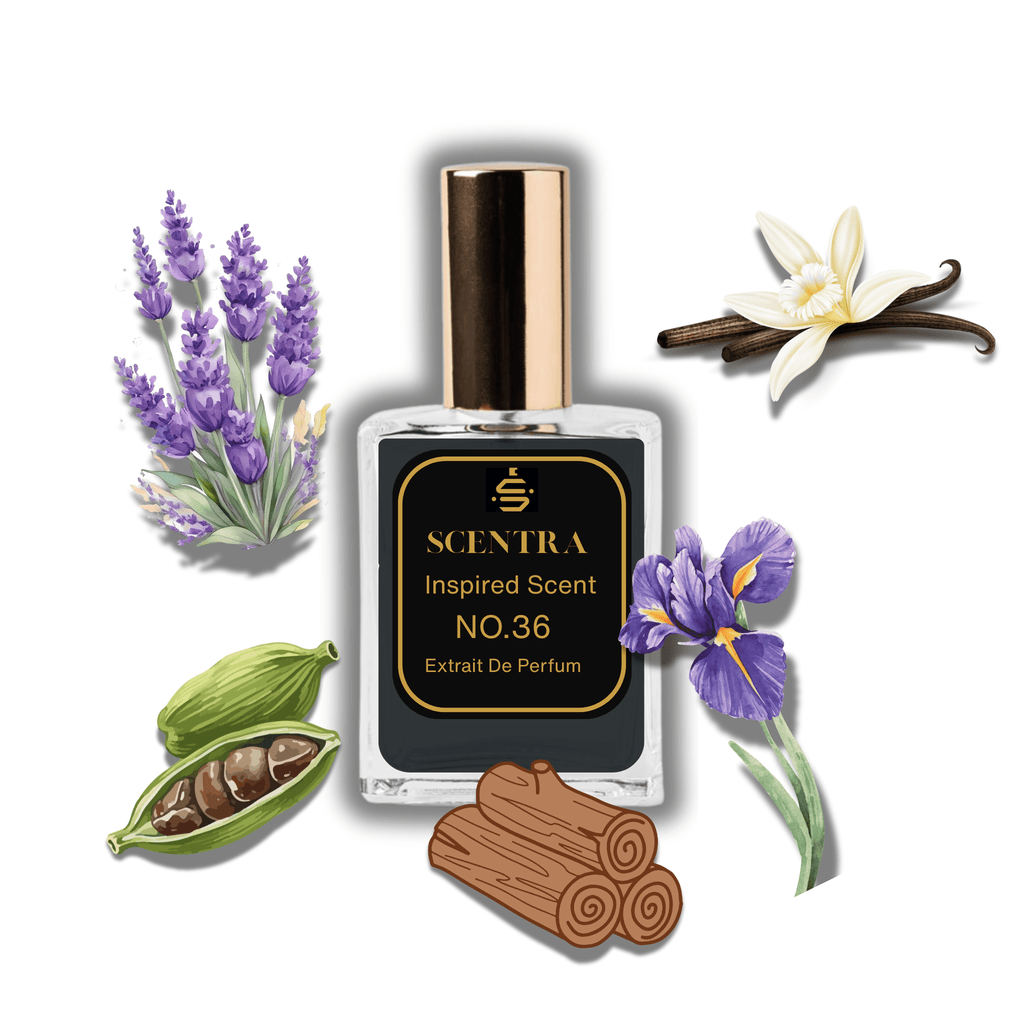 Scentra No.36 perfume bottle surrounded by illustrated scent notes of green cardamom, lavender sprigs, and a purple iris flower.