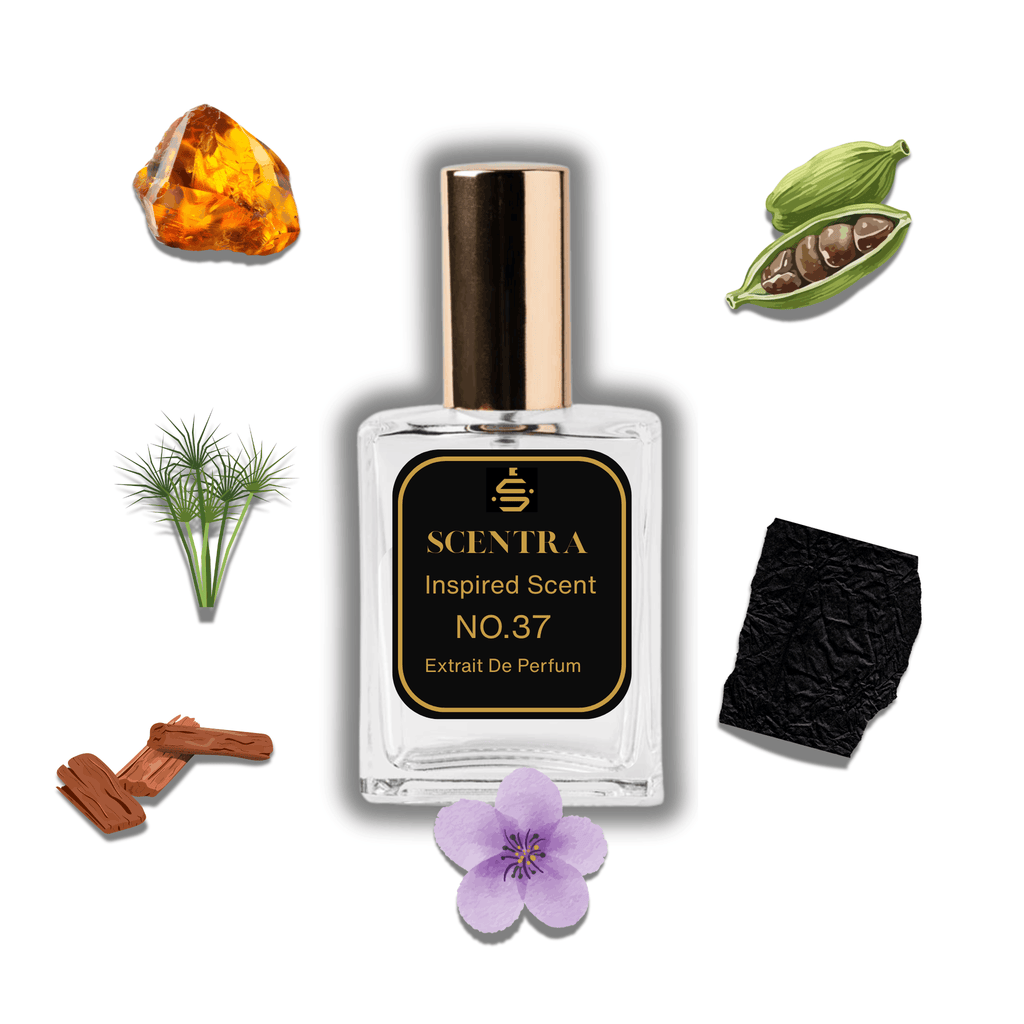 Scentra No.37 perfume bottle surrounded by illustrated scent notes of green cardamom, a purple violet blossom, and leather.