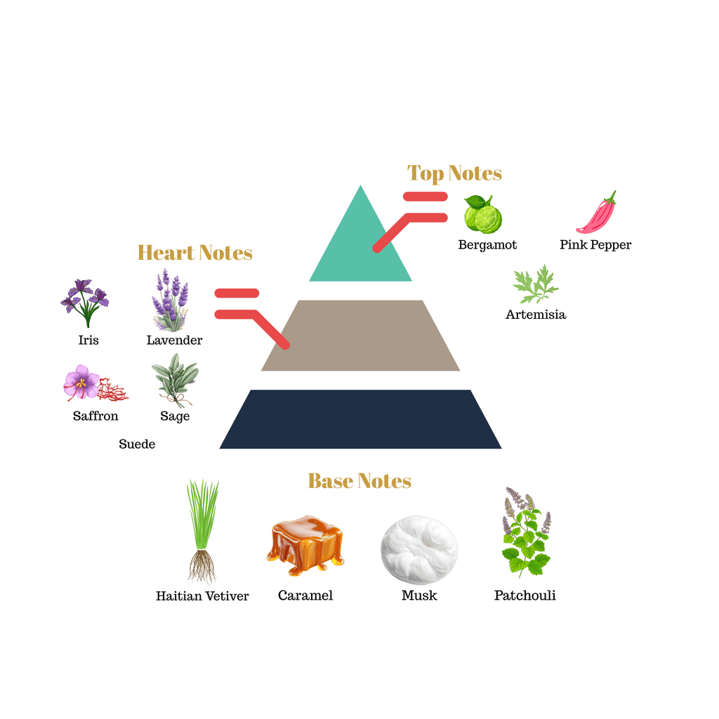 Fragrance pyramid chart for Scentra No.39 breaking down top notes of bergamot, an aromatic lavender heart, and a rich caramel base.