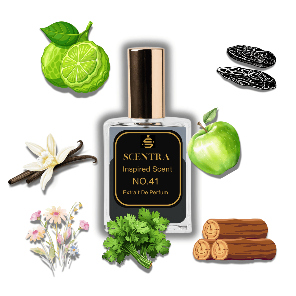 Scentra No.41 perfume bottle surrounded by illustrated scent notes of a green apple, fresh bergamot, vanilla pods, and coriander.