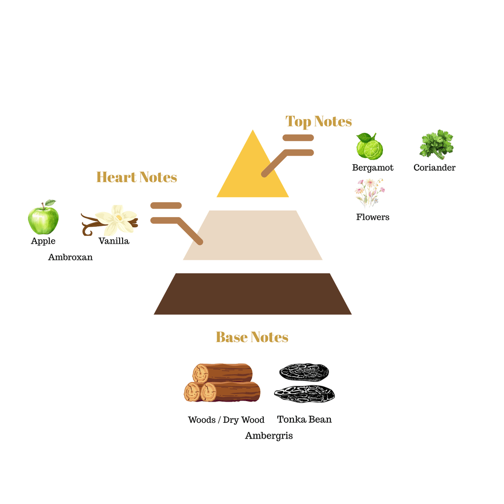 Fragrance pyramid chart for Scentra No.41 showcasing top bergamot notes, a sweet apple heart, and a rich tonka bean wood base.