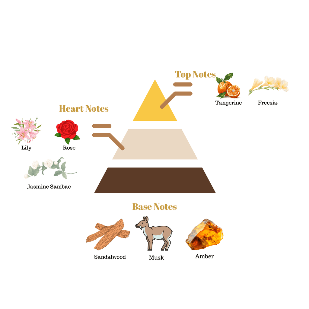 Fragrance pyramid chart for Scentra No.42 displaying top notes of tangerine and freesia, a floral heart, and a woody sandalwood base.