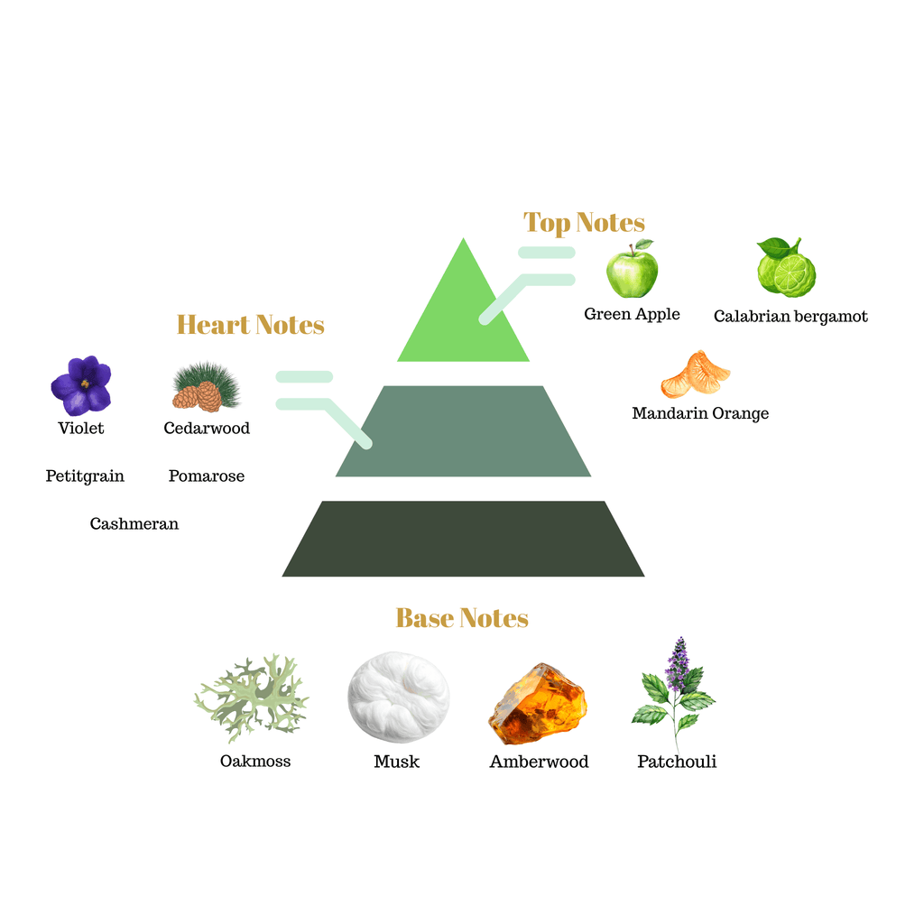 Fragrance pyramid chart for Scentra No.44 showing top notes of apple and bergamot, heart notes of cedarwood, and an amberwood base.