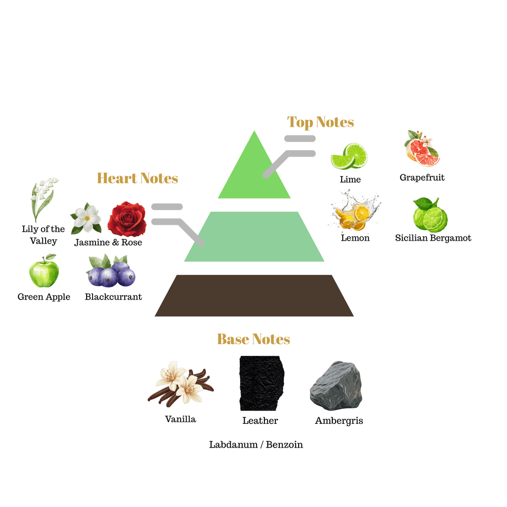 Fragrance pyramid chart for Scentra No.45 breaking down top citrus notes, fruity heart notes, and a deep leather base.