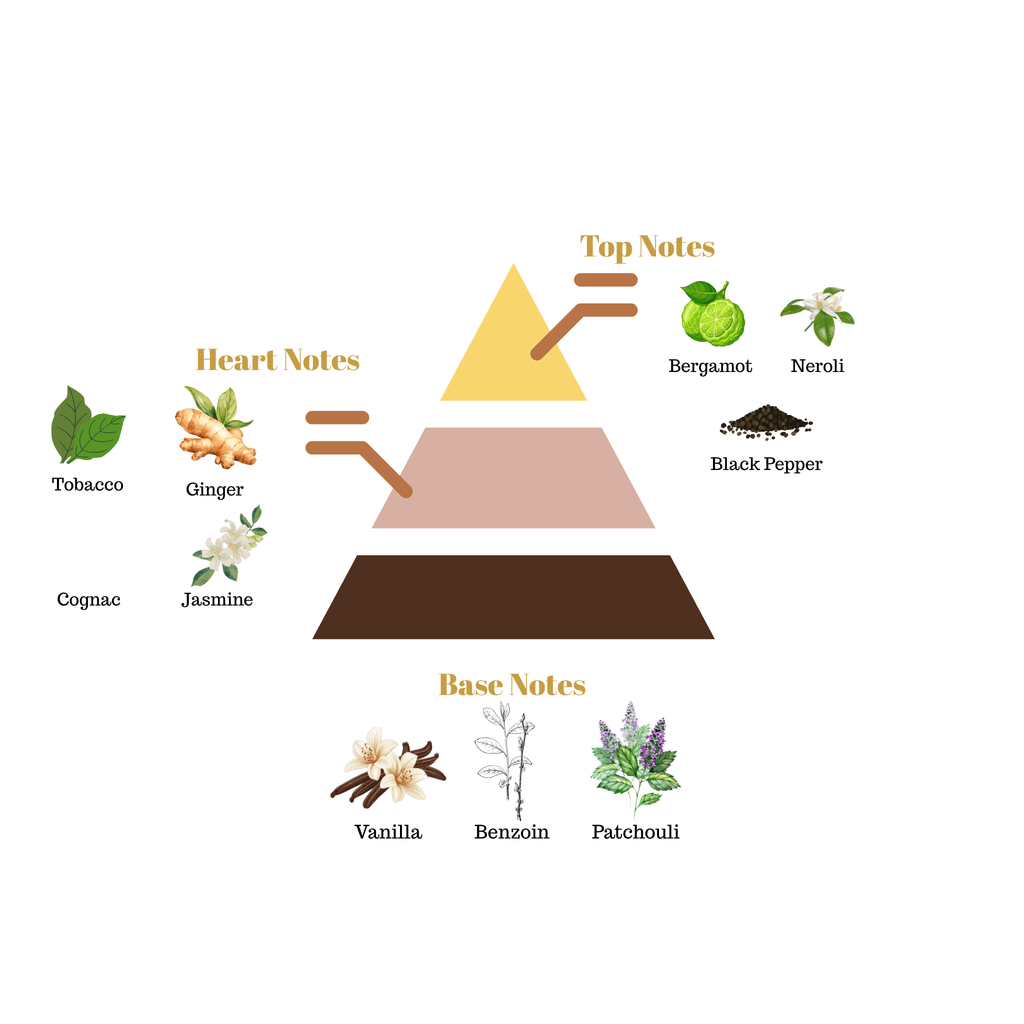 Fragrance pyramid chart for Scentra No.46 breaking down top notes of bergamot, heart notes of tobacco and cognac, and patchouli base notes.