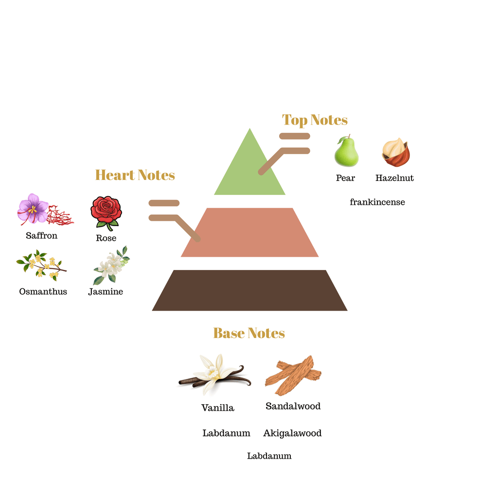 Fragrance pyramid diagram for Scentra No.47 breaking down top notes of pear and hazelnut, heart notes of rose and jasmine, and woody base notes.