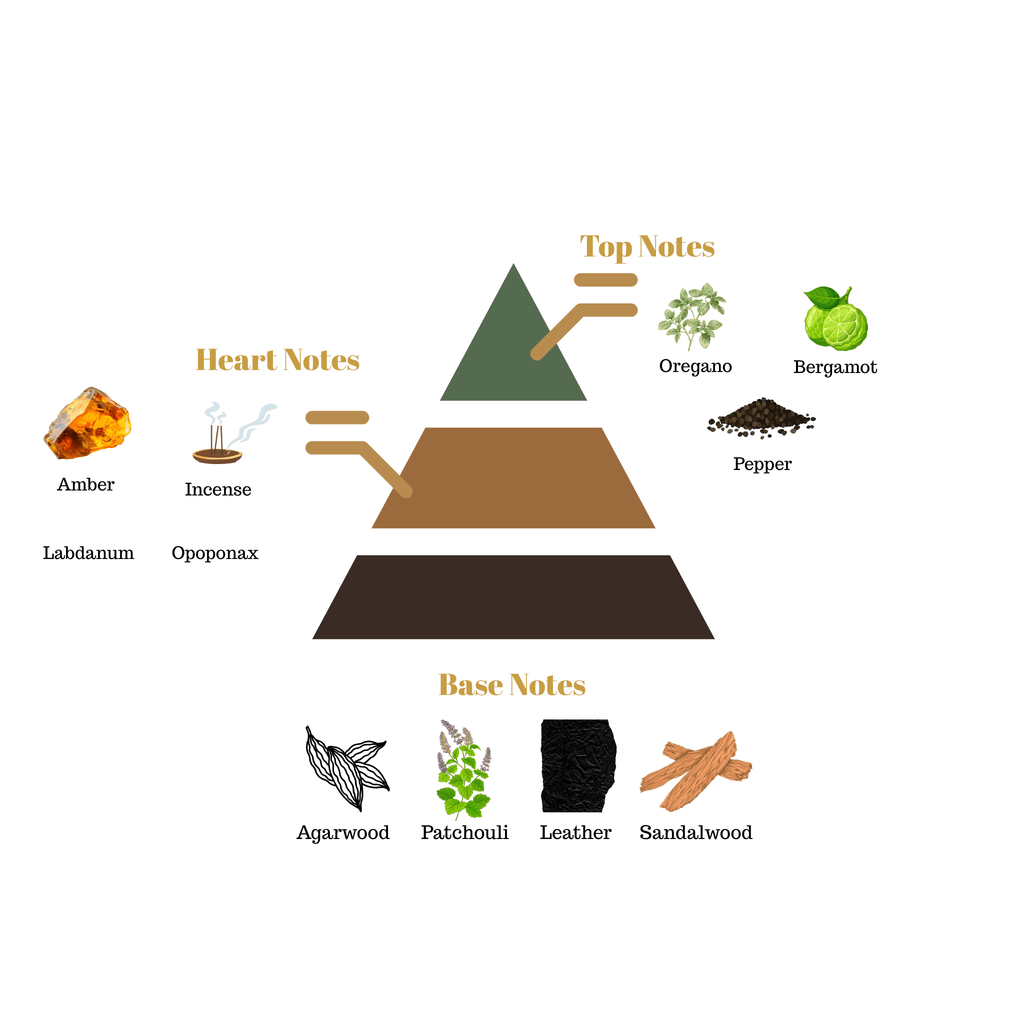 Fragrance pyramid chart showing top, heart, and base scent notes for Scentra No.48 inspired by Amouage Interlude Man.