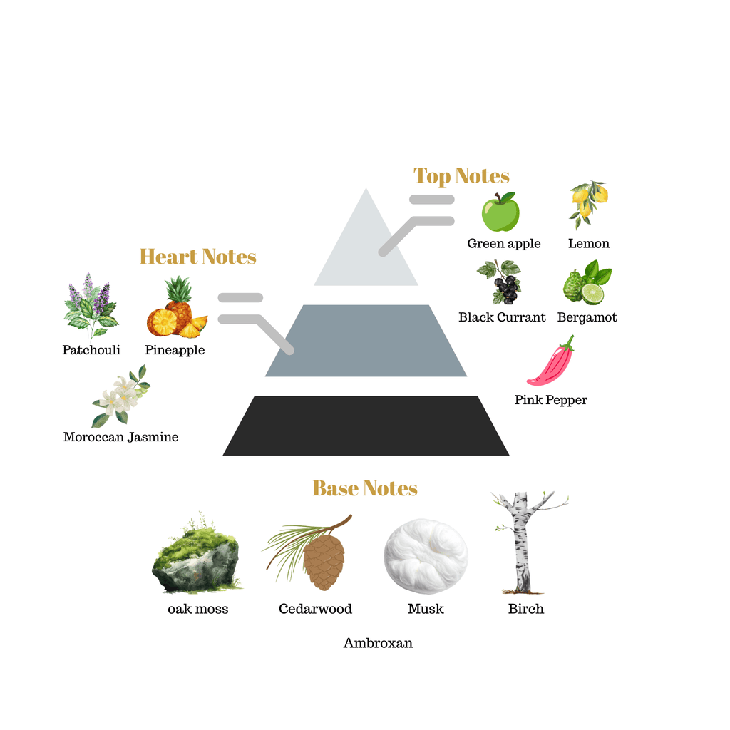 Fragrance pyramid chart for Scentra No.5 showcasing a green apple and black currant top, a pineapple patchouli heart, and a smoky oakmoss birch base.