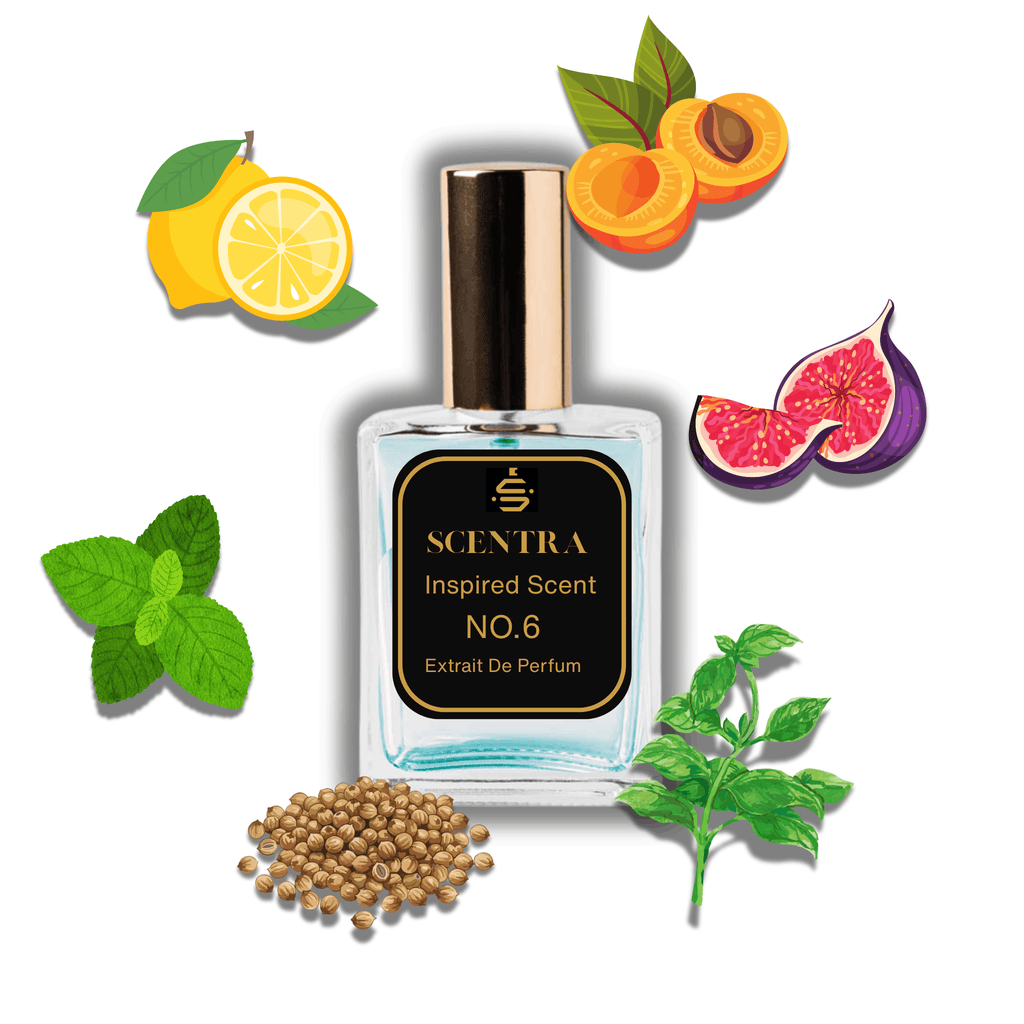 Scentra No.6 perfume inspired by Louis Vuitton Pacific Chill surrounded by illustrated scent notes of fresh mint leaves, sliced apricot, and a purple fig.