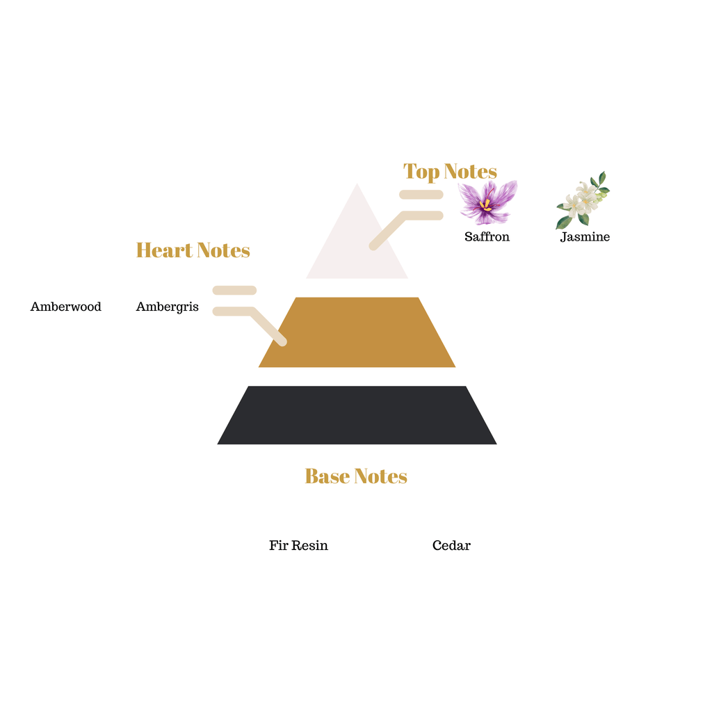 Fragrance pyramid chart for Scentra No.7 detailing a saffron jasmine top, amberwood and ambergris heart, and a fir resin cedar base.