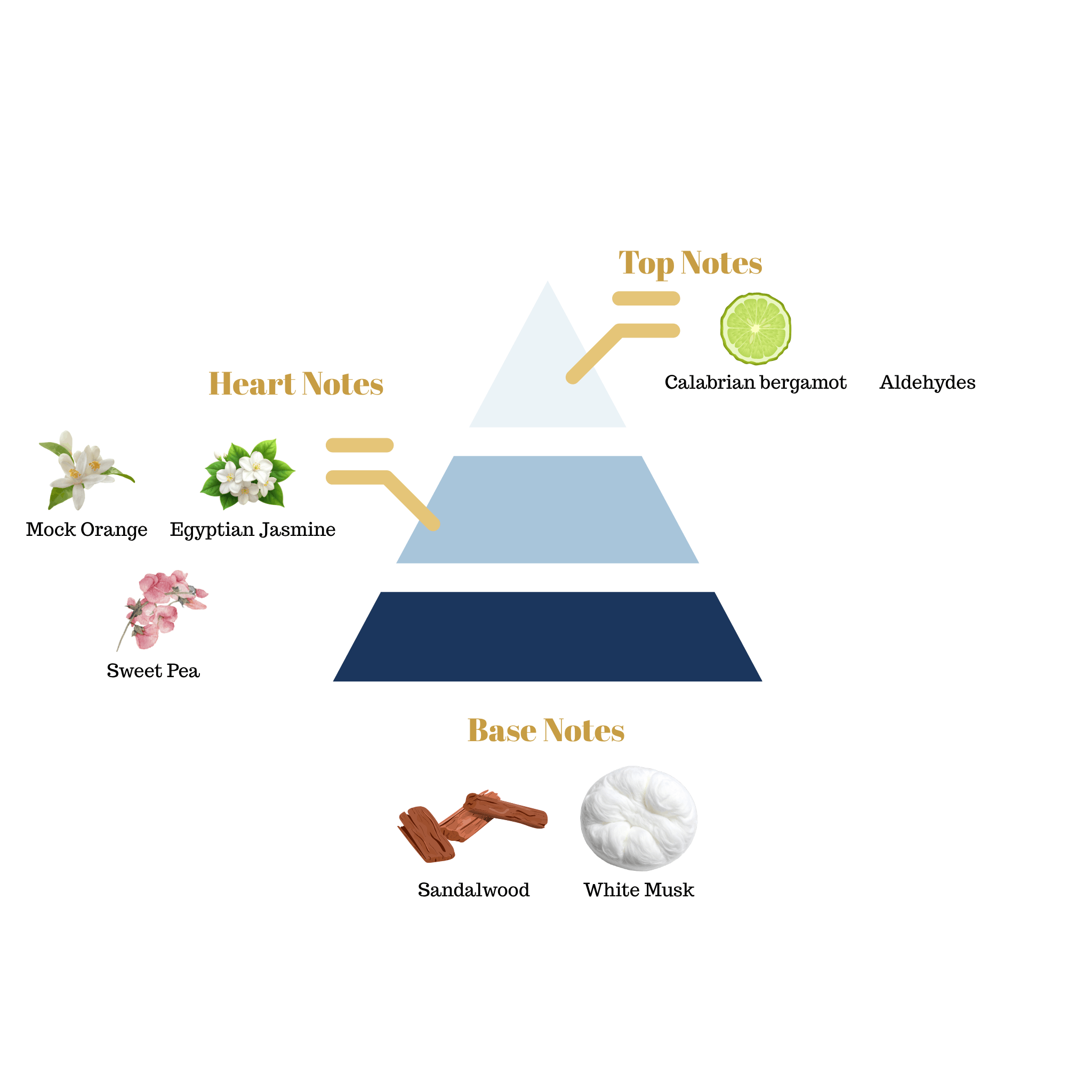 Fragrance note pyramid for Scentra No.101, inspired by Maison Francis Kurkdjian 724, showing top, heart, and base notes